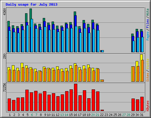 Daily usage for July 2013