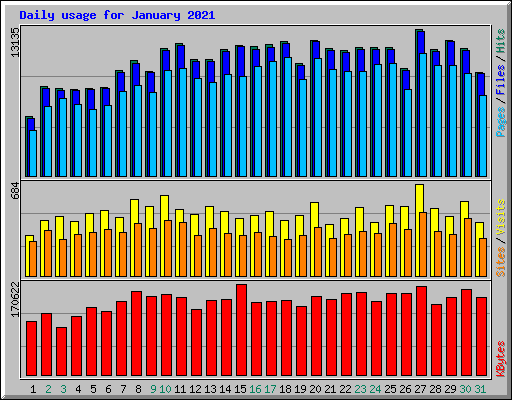 Daily usage for January 2021