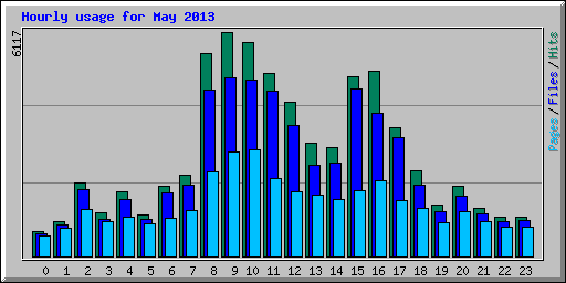 Hourly usage for May 2013