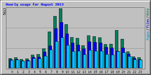 Hourly usage for August 2013