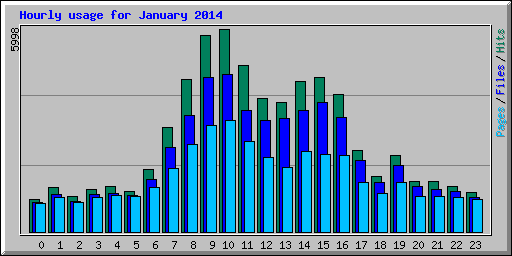 Hourly usage for January 2014