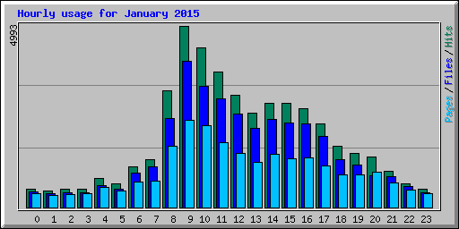 Hourly usage for January 2015