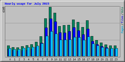 Hourly usage for July 2015