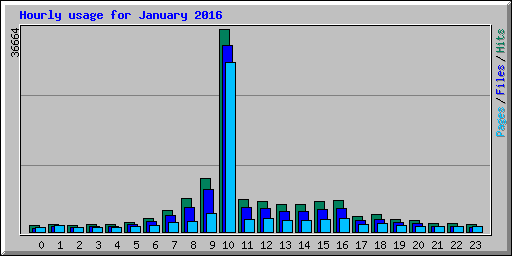 Hourly usage for January 2016