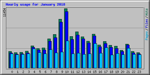 Hourly usage for January 2018