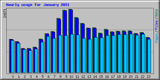 Hourly usage for January 2021