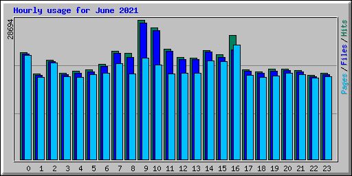 Hourly usage for June 2021
